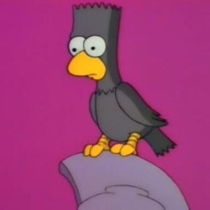 Meet your Posher, Katy